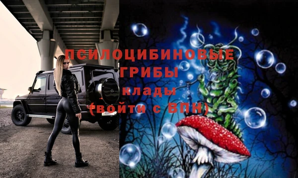 spice Ладушкин