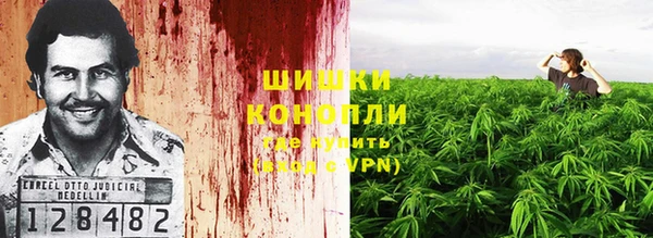 spice Ладушкин