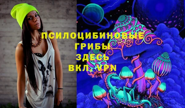 стафф Лабытнанги